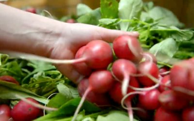 OSFM Vendors Support Mustard Seed Charity Dinner