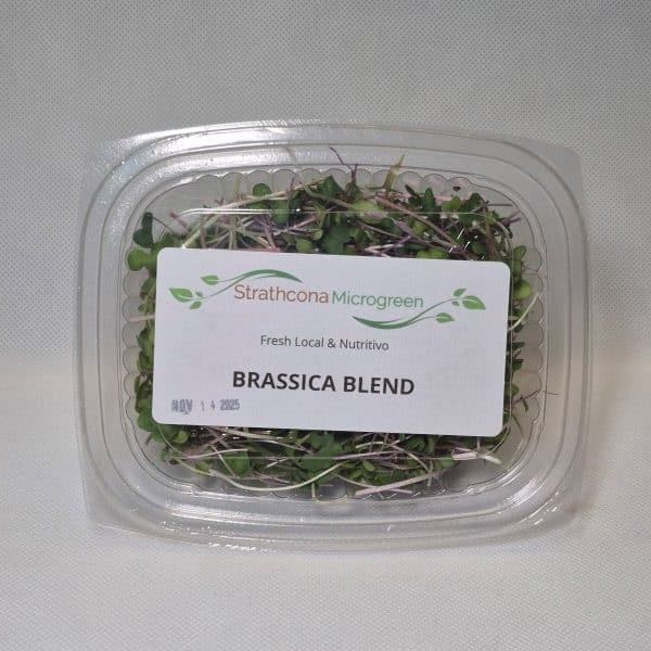 Brassica Microgreen Blend