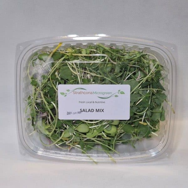 Salad Microgreen Mix